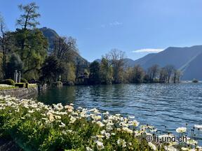 Welcome to the Reka Holiday Village Lugano Albonago