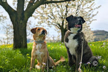 Fotowettbewerb: Bild des Monats Mai