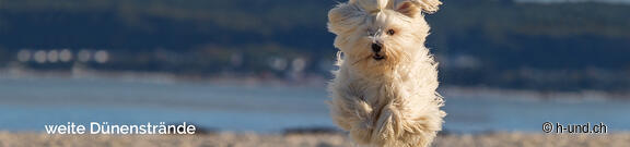 Deutschland mit Hund