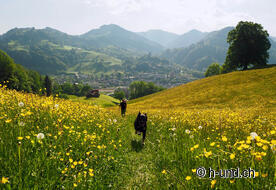 Emma on her way to Wattwil.