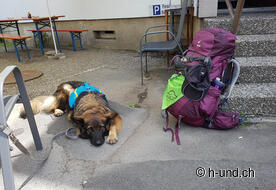 Una piacevole pausa per ricaricare le batterie.