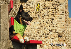 Emma bei enjoys the view of Iberg Castle.