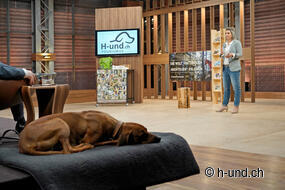 Höhlen der Löwen Schweiz